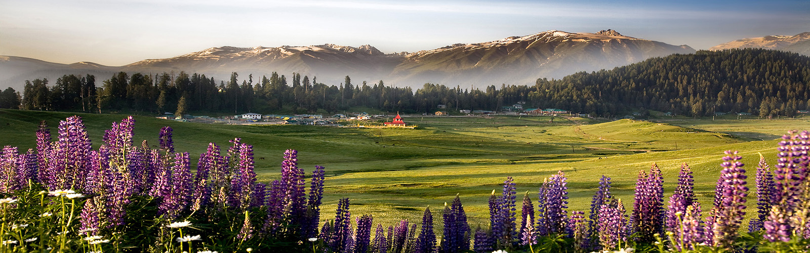 Travel Agent Srinagar